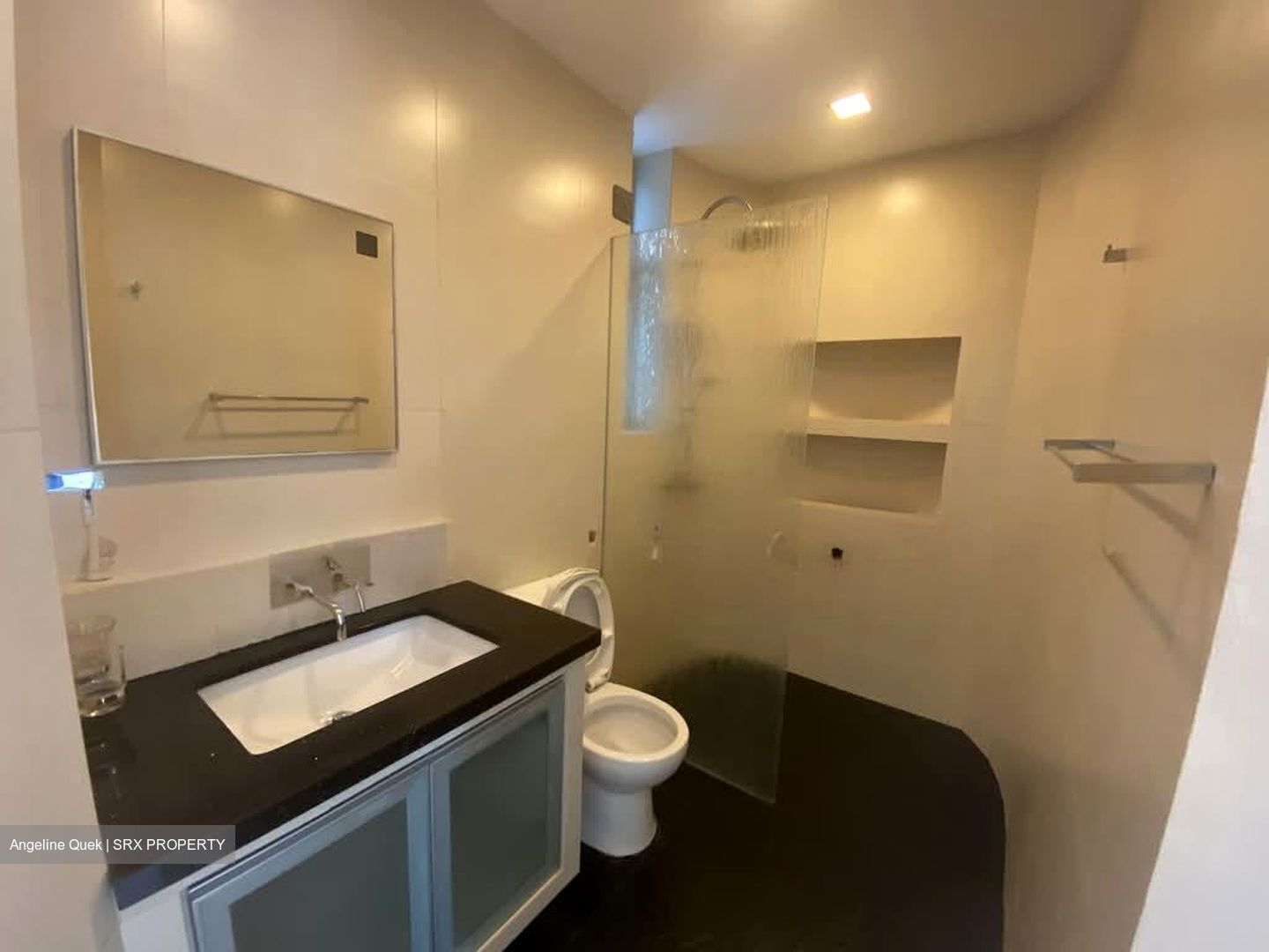 Valley Park (D10), Condominium #548842361